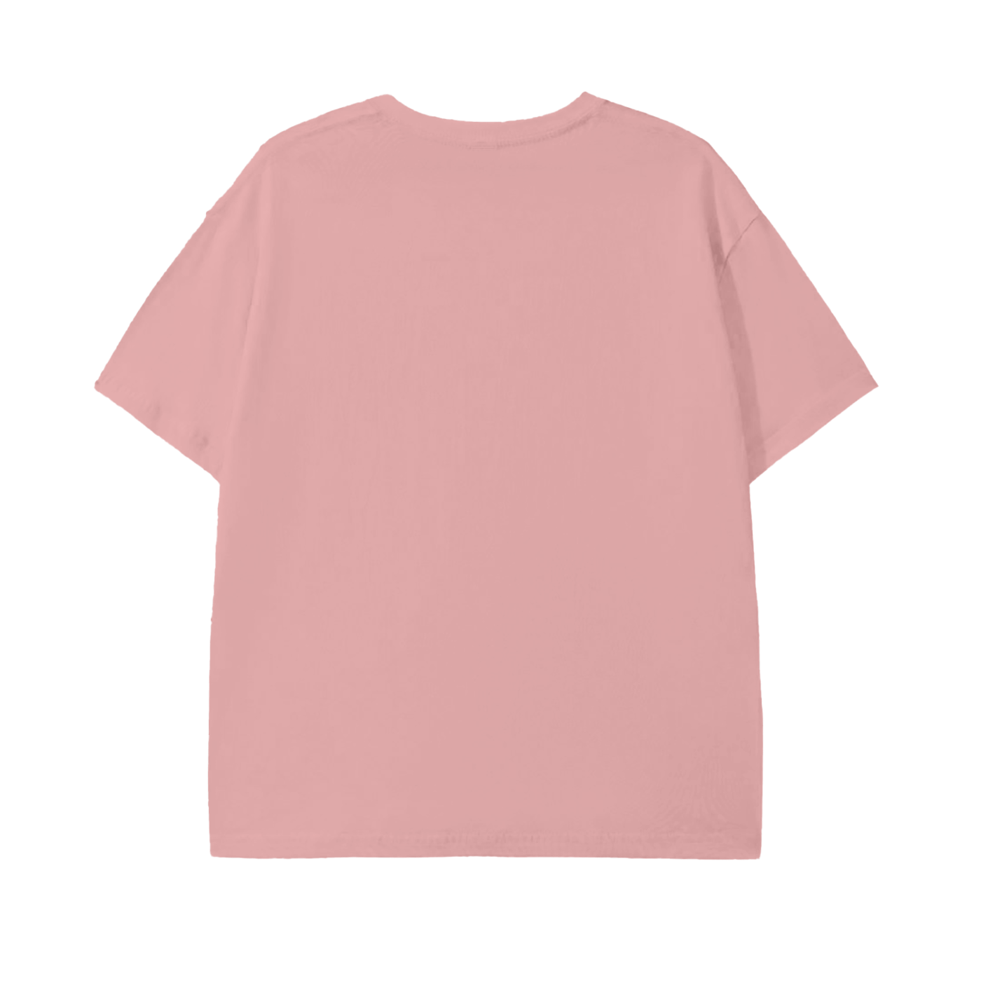 Basic T-shirt (OG)