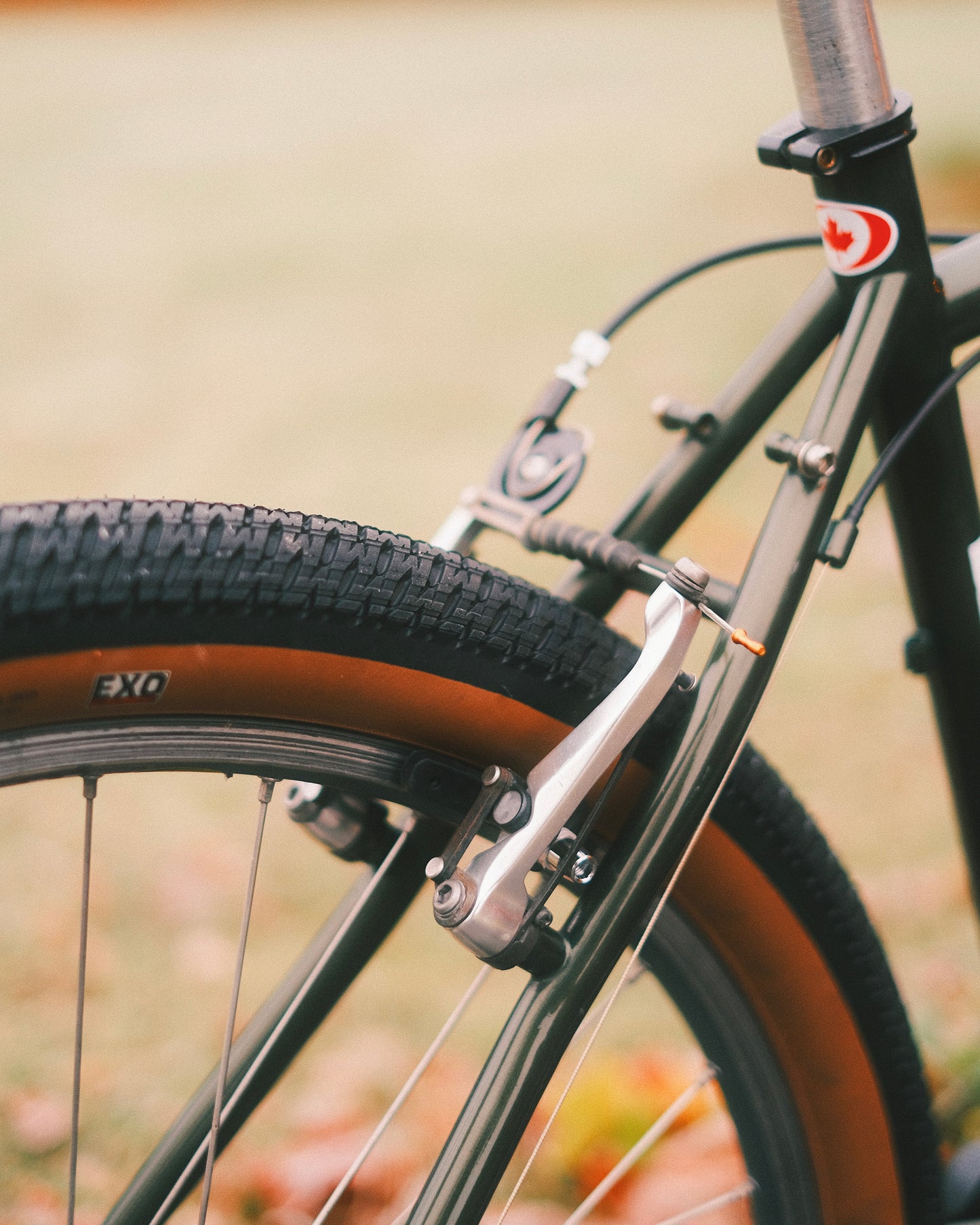 Brodie Energy (1996)