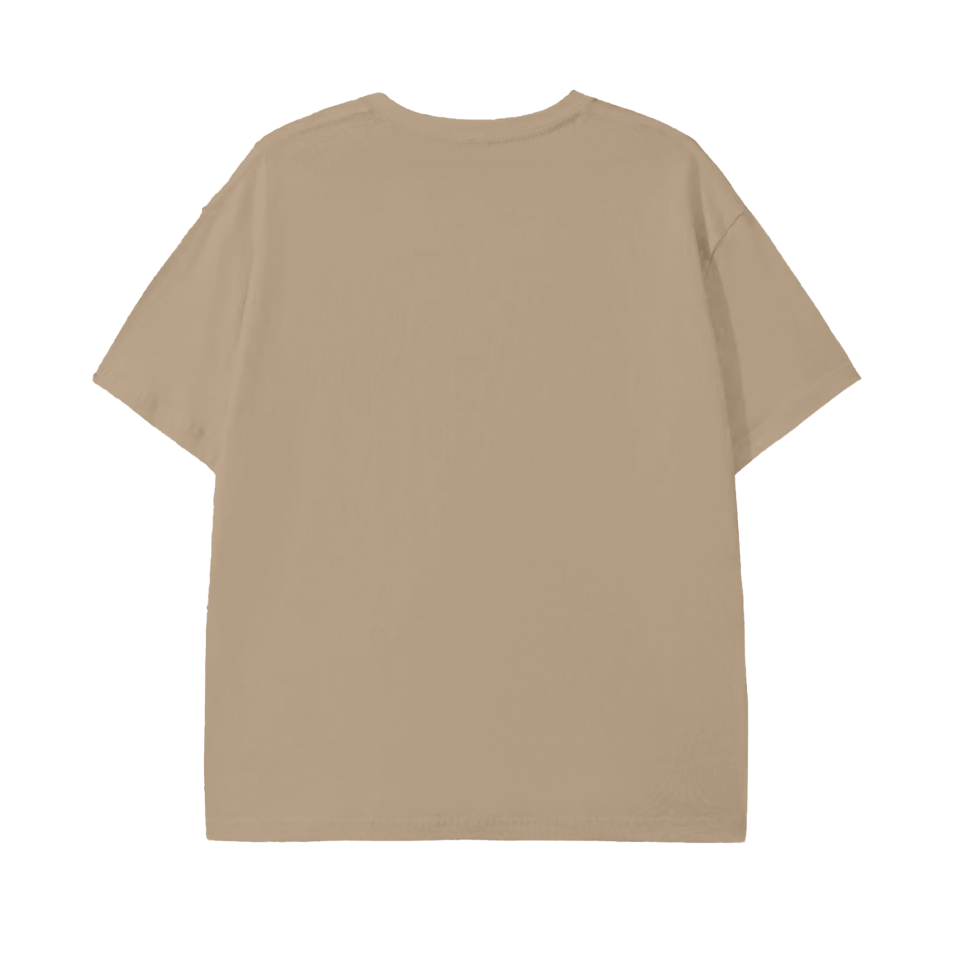 Basic T-shirt (OG)