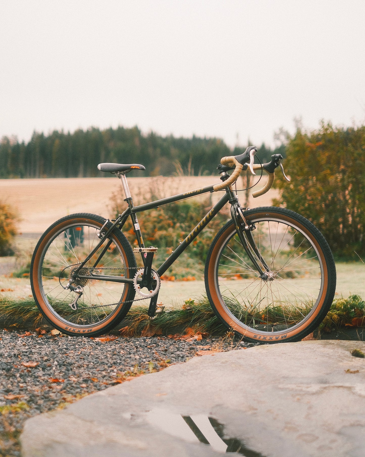 Brodie Energy (1996)