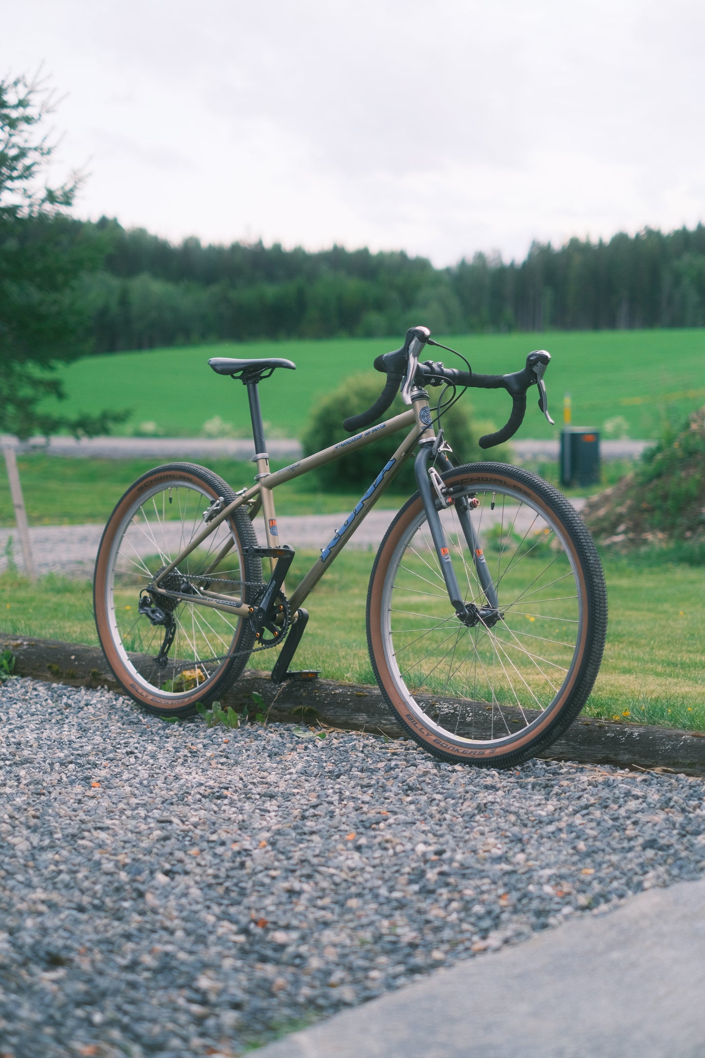Kona Cinder Cone (1996)